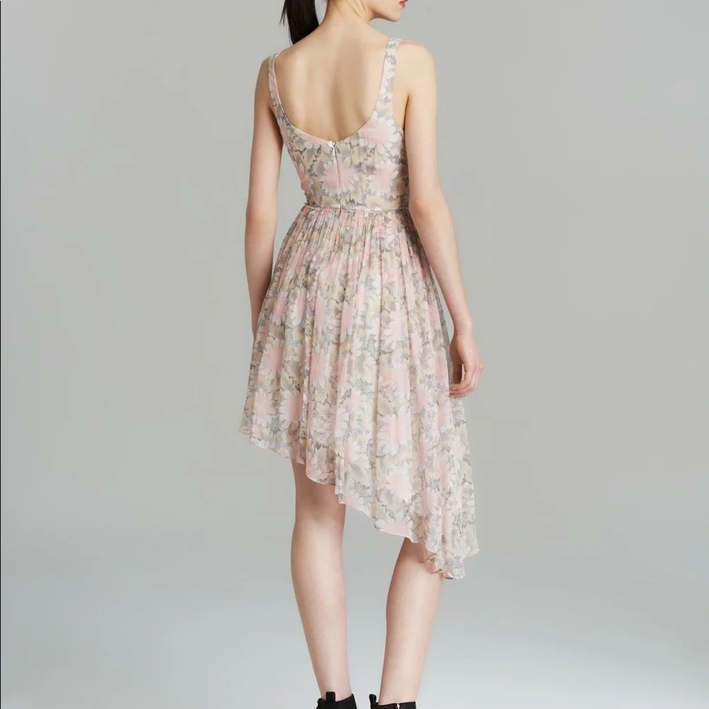 Elizabeth and James Manette Dress
